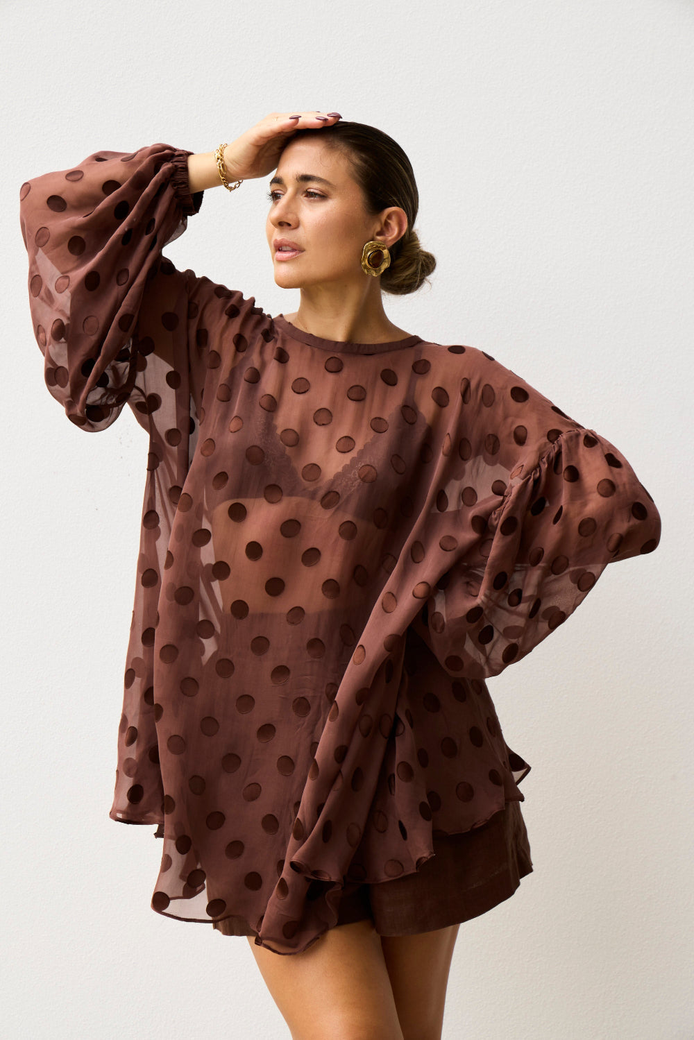 Sheer Spot Balloon Sleeve Blouse - Chocolate