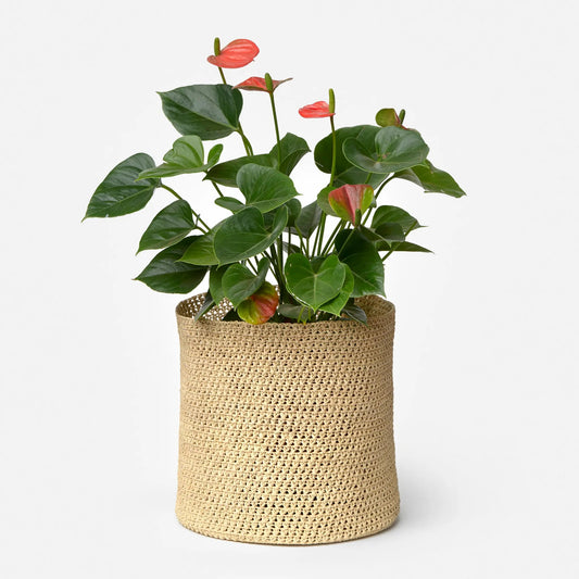 Kiazo Planter by TANORA - image 2