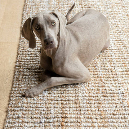 Kidman Jute Twist Rug by Zebra Home - image 4
