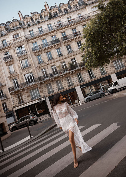Sheer Sequin Balloon Sleeve Shift