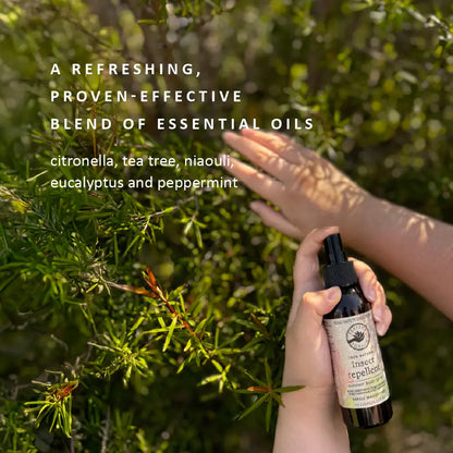 Natural Insect Repellent essential oils by Perfect Potion