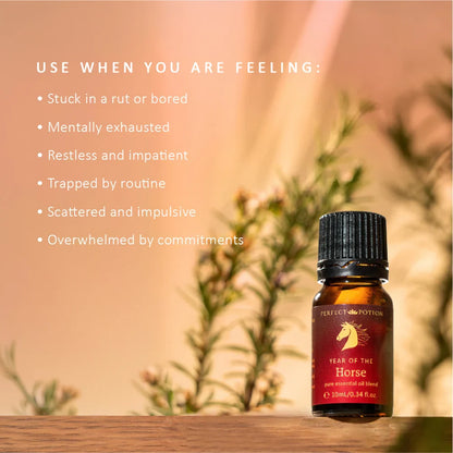 Year of the Horse Essential Oil Blend how to use by Perfect Potion