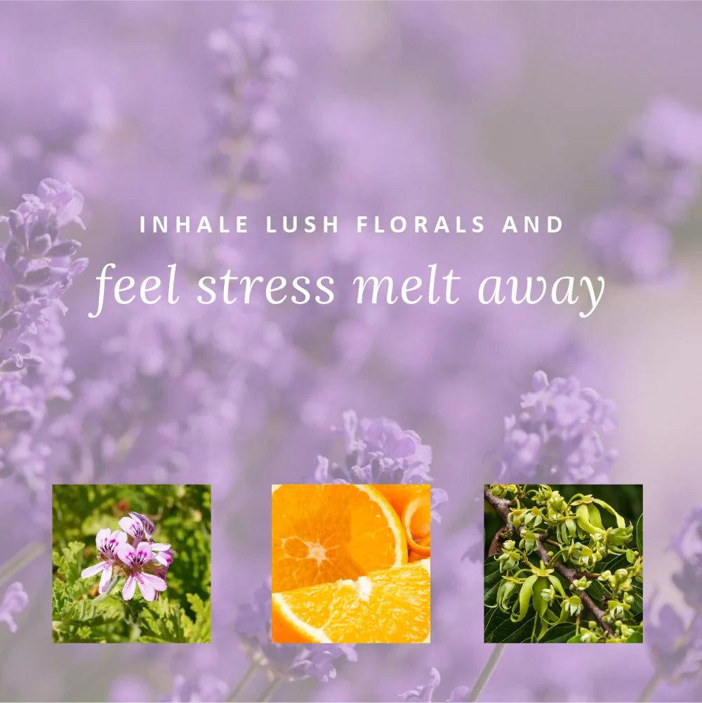 Little Box of Calm gift pack ingredients by Perfect Potion