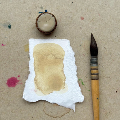 Buff single ceramic watercolour pan by Ruco Paints