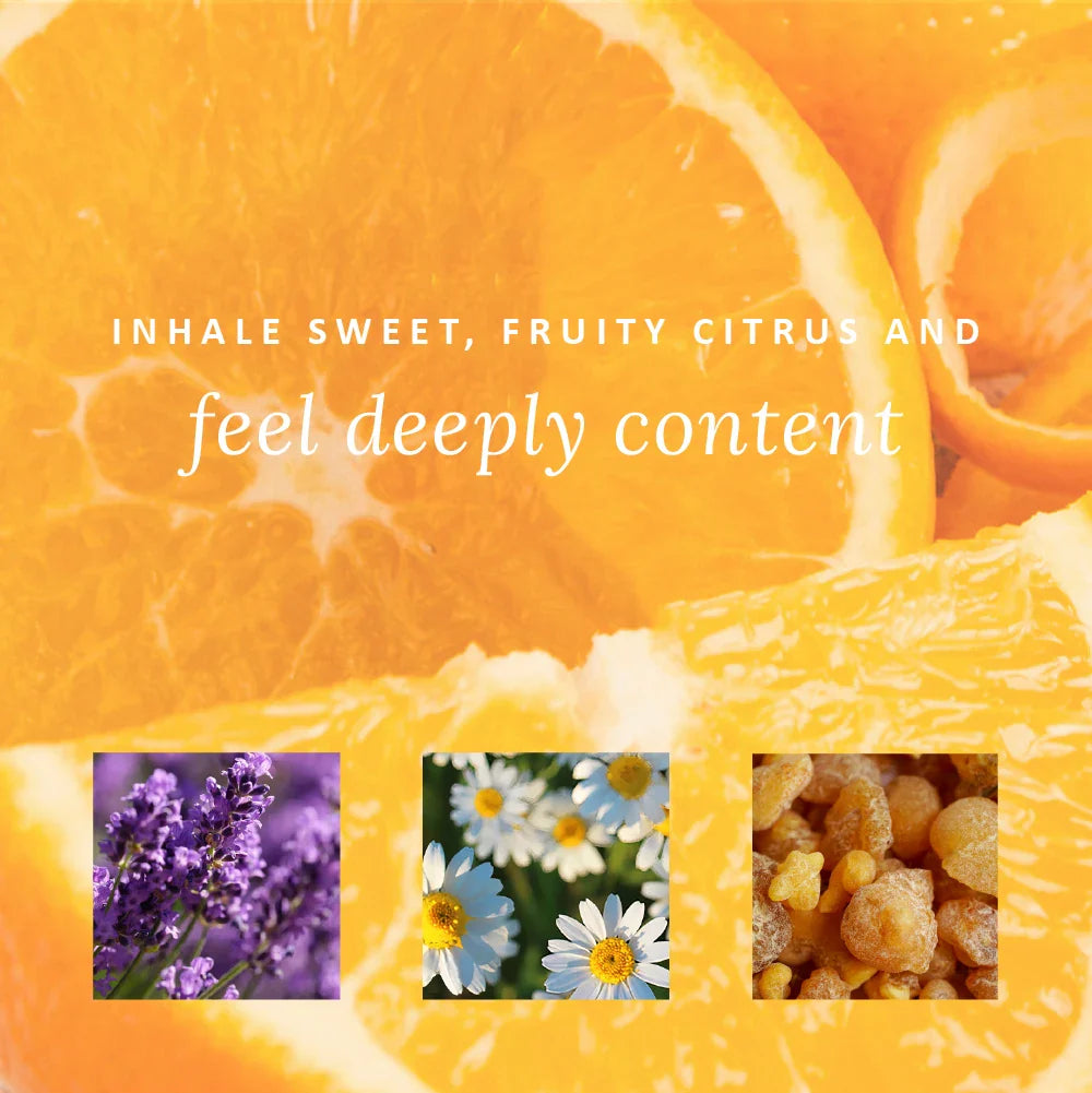 Little Box of Happy & Calm gift pack ingredients by Perfect Potion