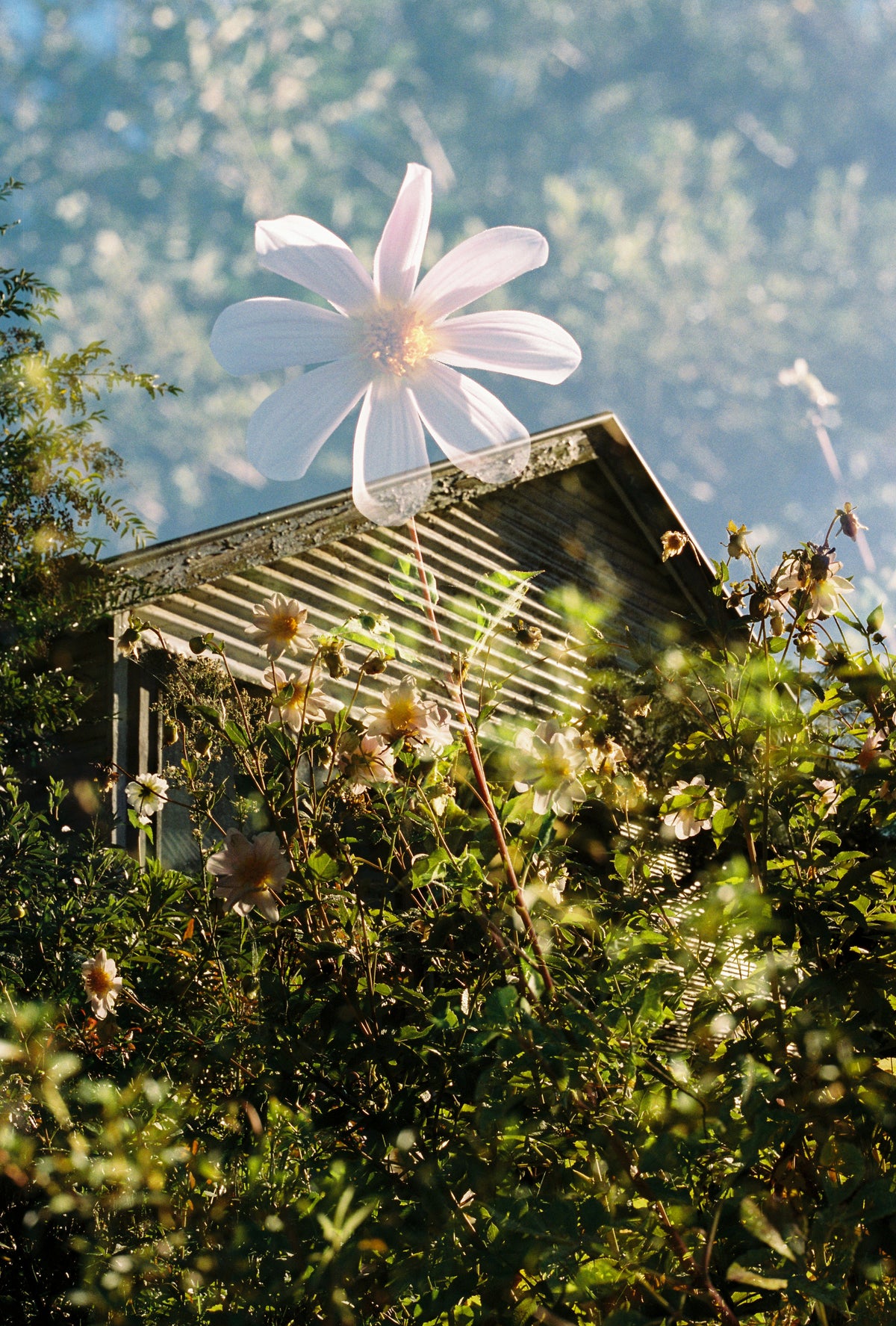 Double exposure film workshop with Gwencyphen Paull