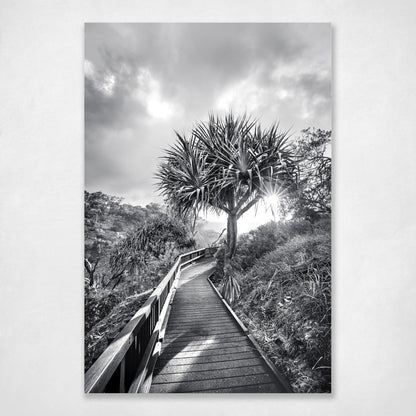 Follow Your Own Path - black and white pandanus palm on the Gorge Walk boardwalk, North Stradbroke Island