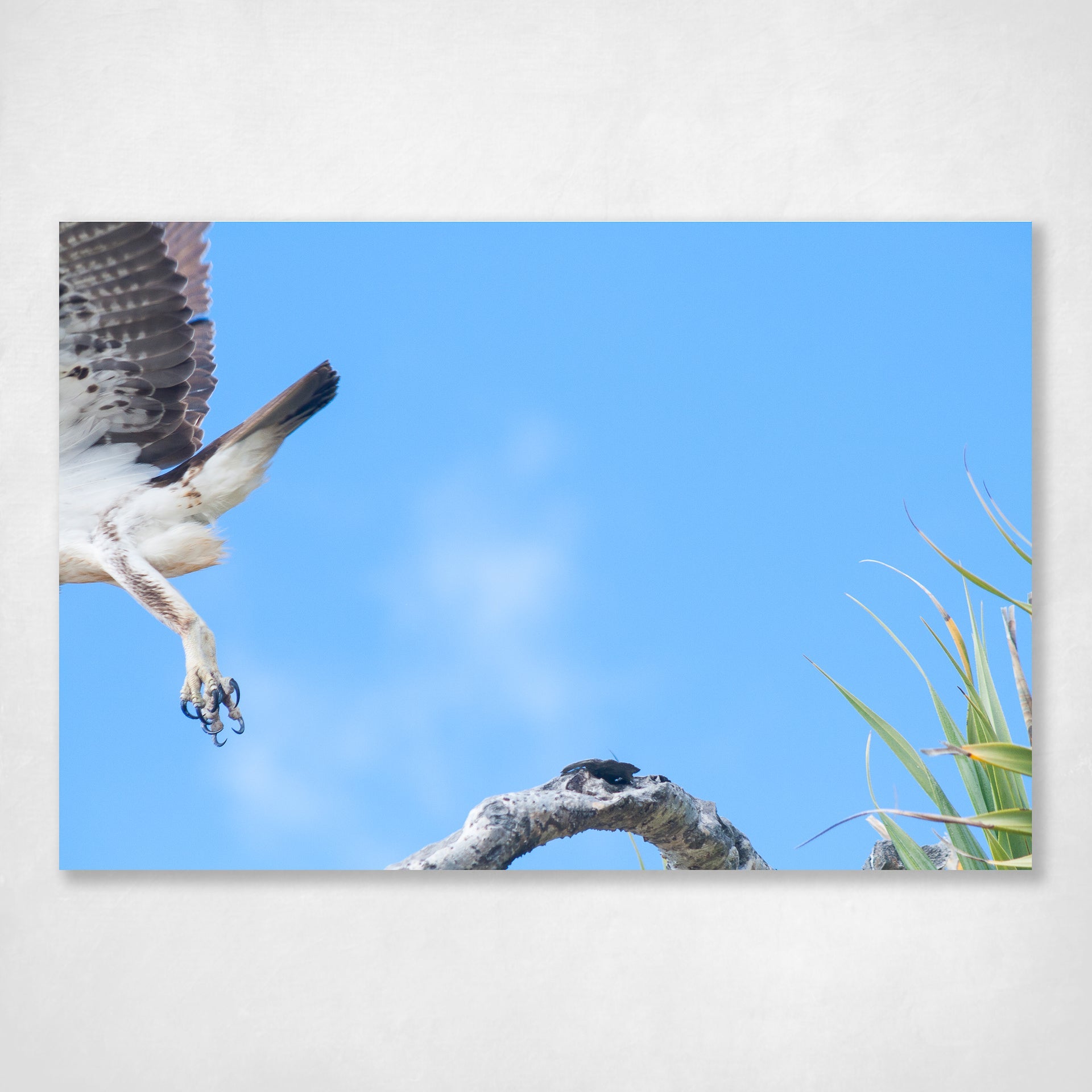 See Ya Later - island scene on North Stradbroke Island