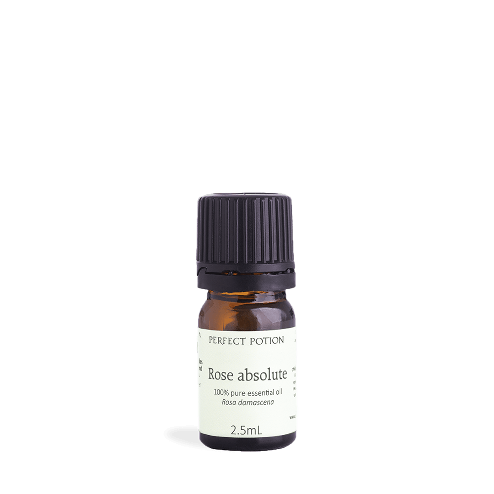 Rose Absolute Pure Essential Oil by Perfect Potion