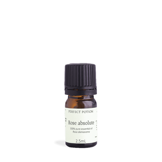 Rose Absolute Pure Essential Oil by Perfect Potion