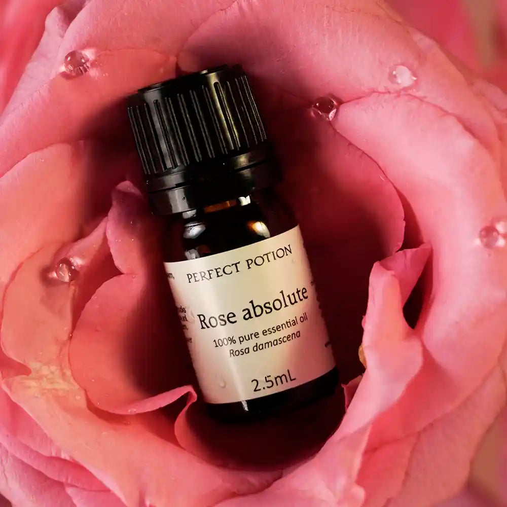 Rose Absolute Pure Essential Oil by Perfect Potion