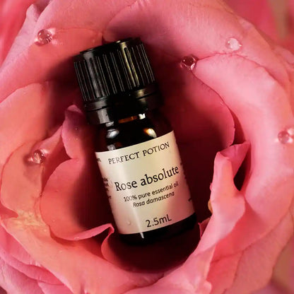 Rose Absolute Pure Essential Oil by Perfect Potion
