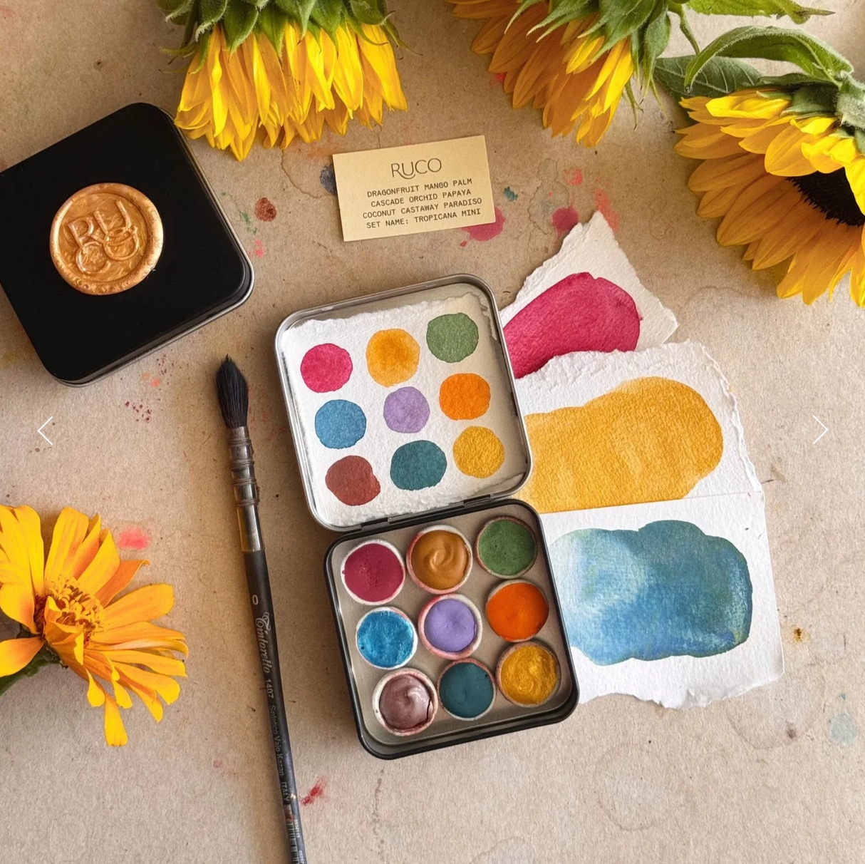 Tropicana Mini Palette by Ruco Paints - image 4