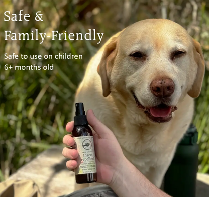 Natural Insect Repellent