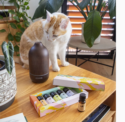 Wooden Aromatherapy Diffuser