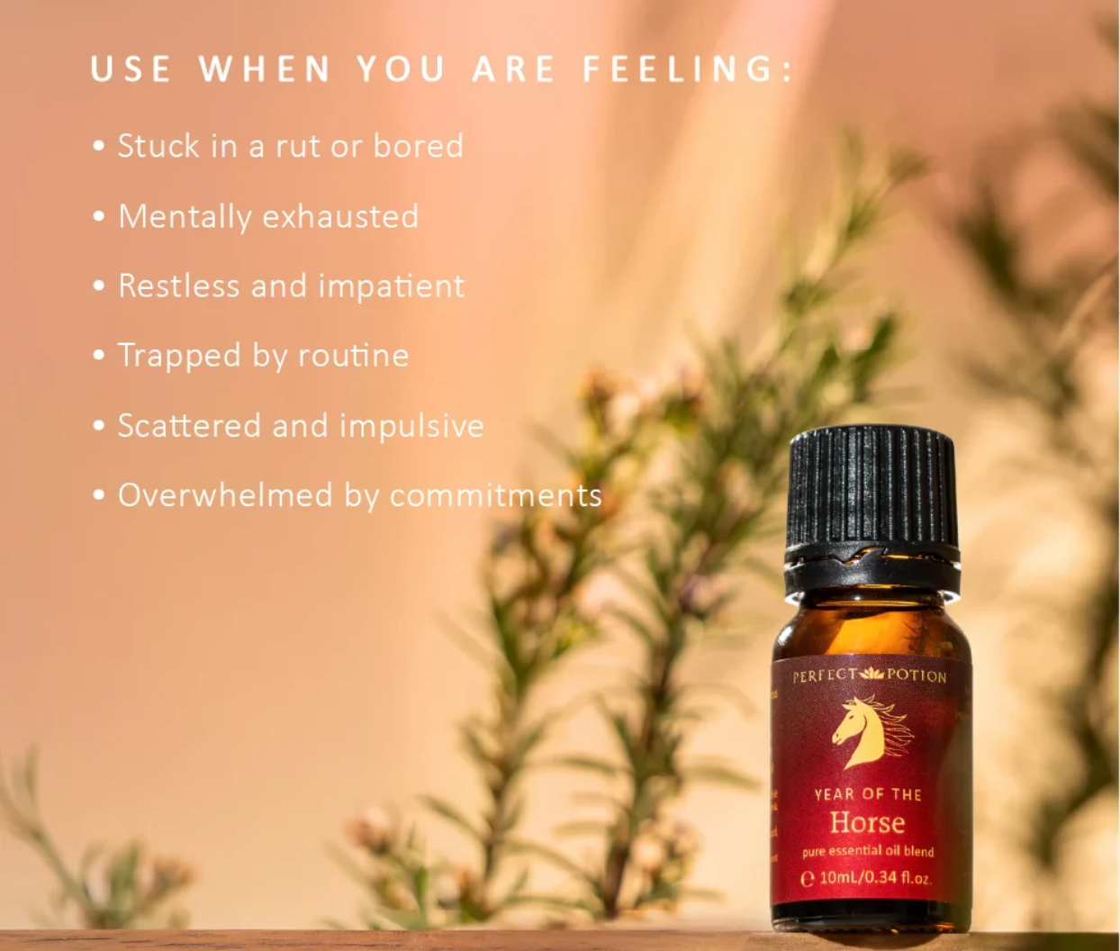 Year of the Horse Essential Oil Blend