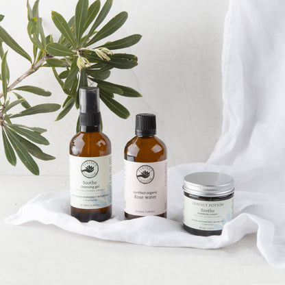 Soothe Cleansing Gel by Perfect Potion