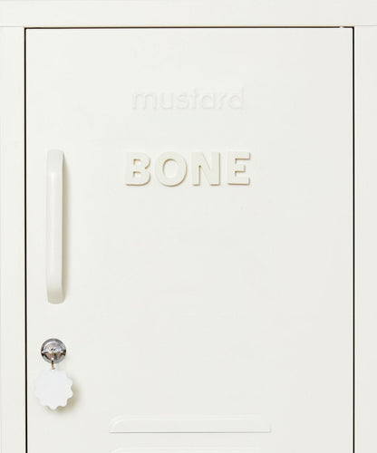 Wordbits Alphabet Magnets in Bone