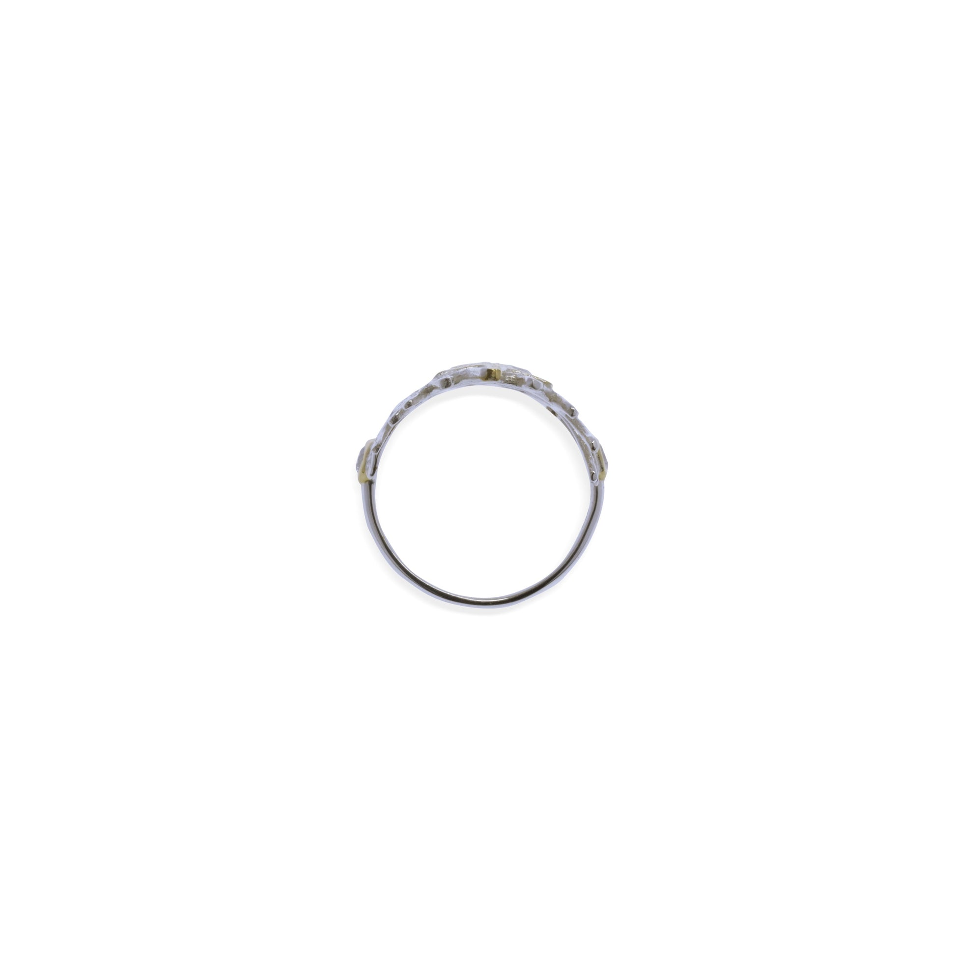 Sunaka Coral Reef ring angle