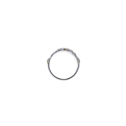 Sunaka Coral Reef ring angle