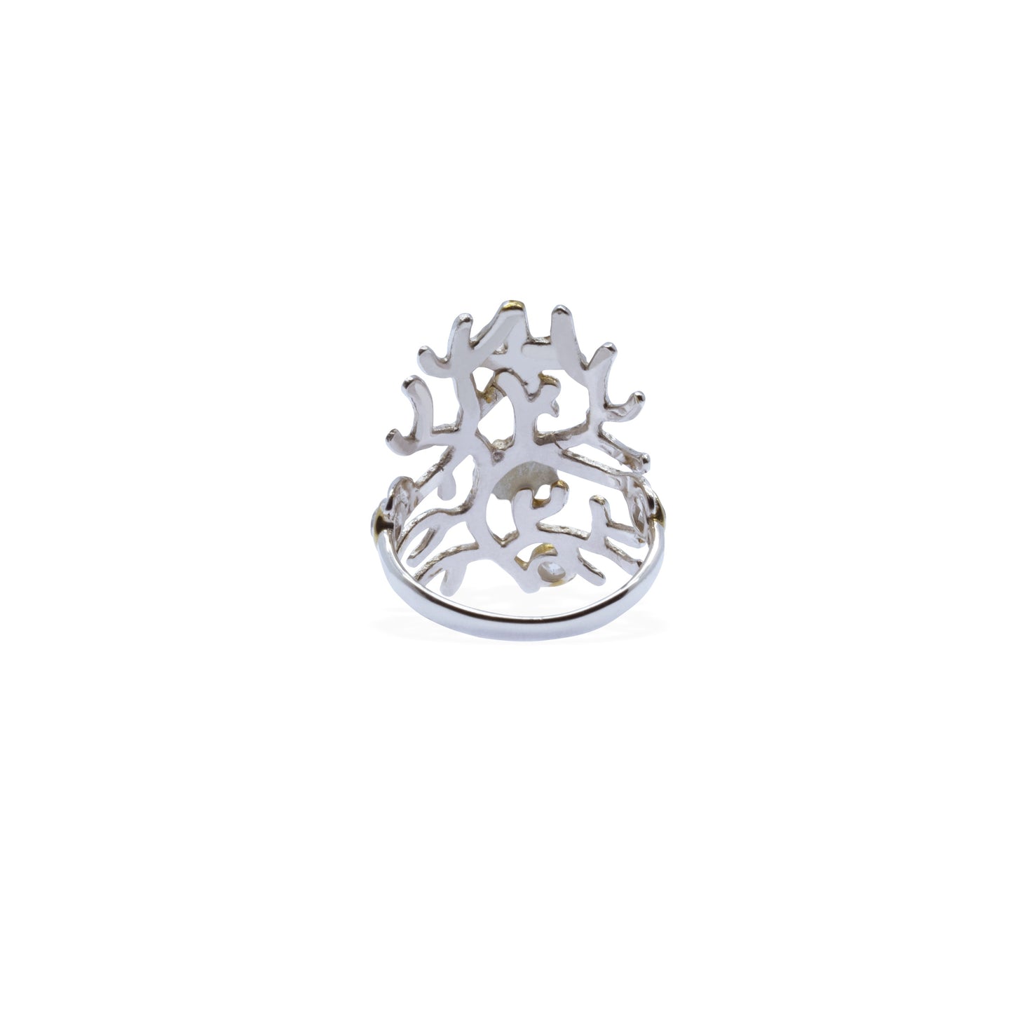 Sunaka Coral Reef ring back