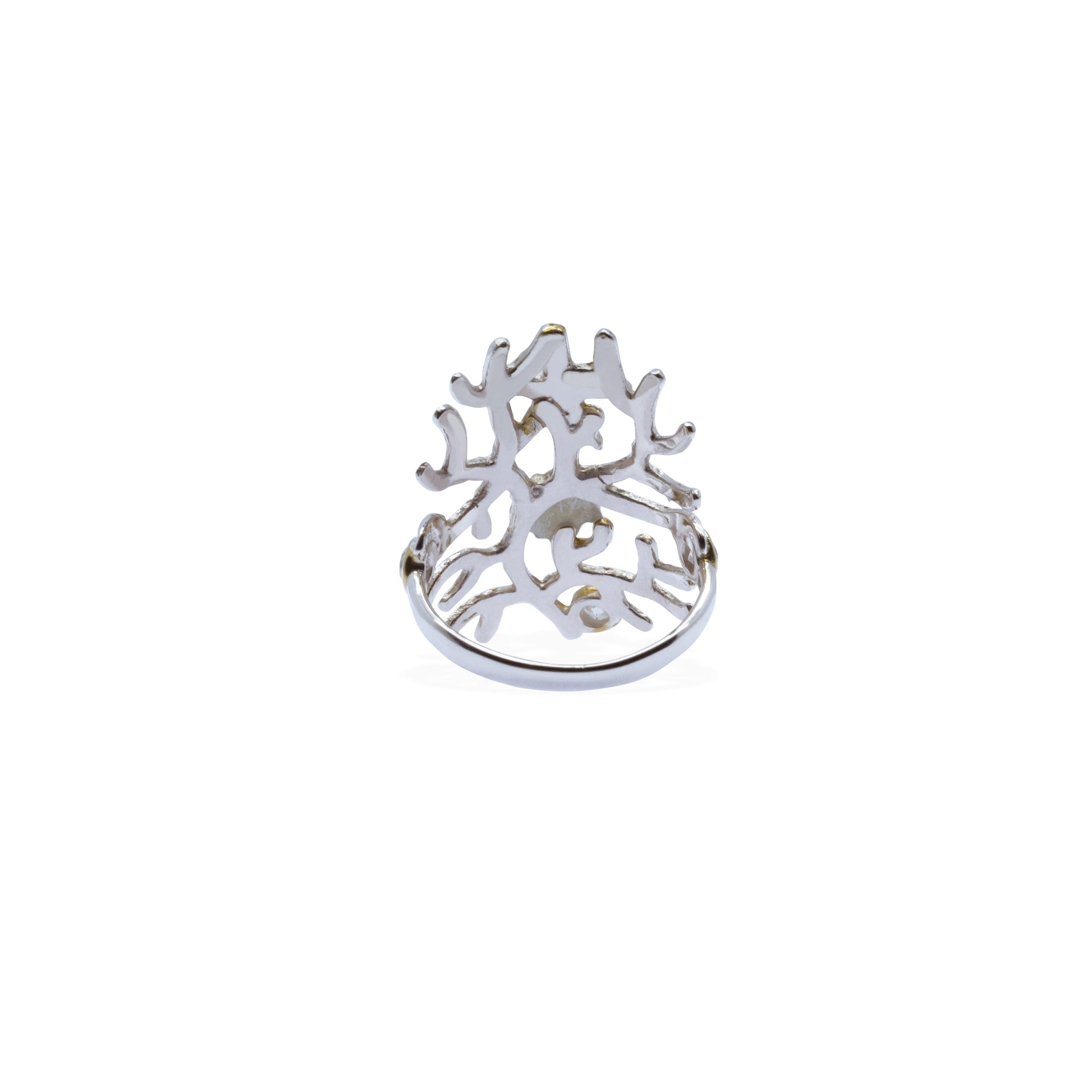 Sunaka Coral Reef ring back