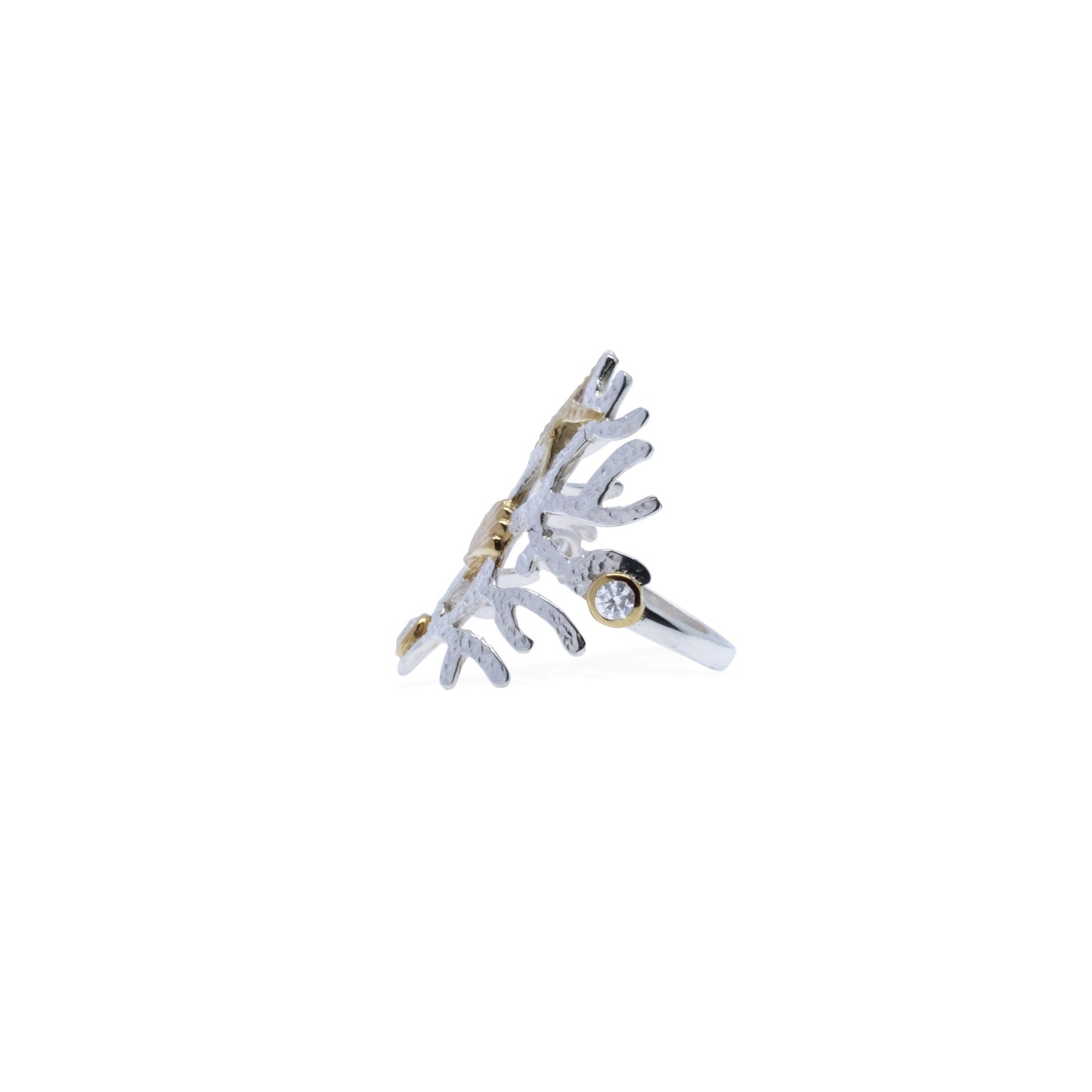 Sunaka Coral Reef ring side