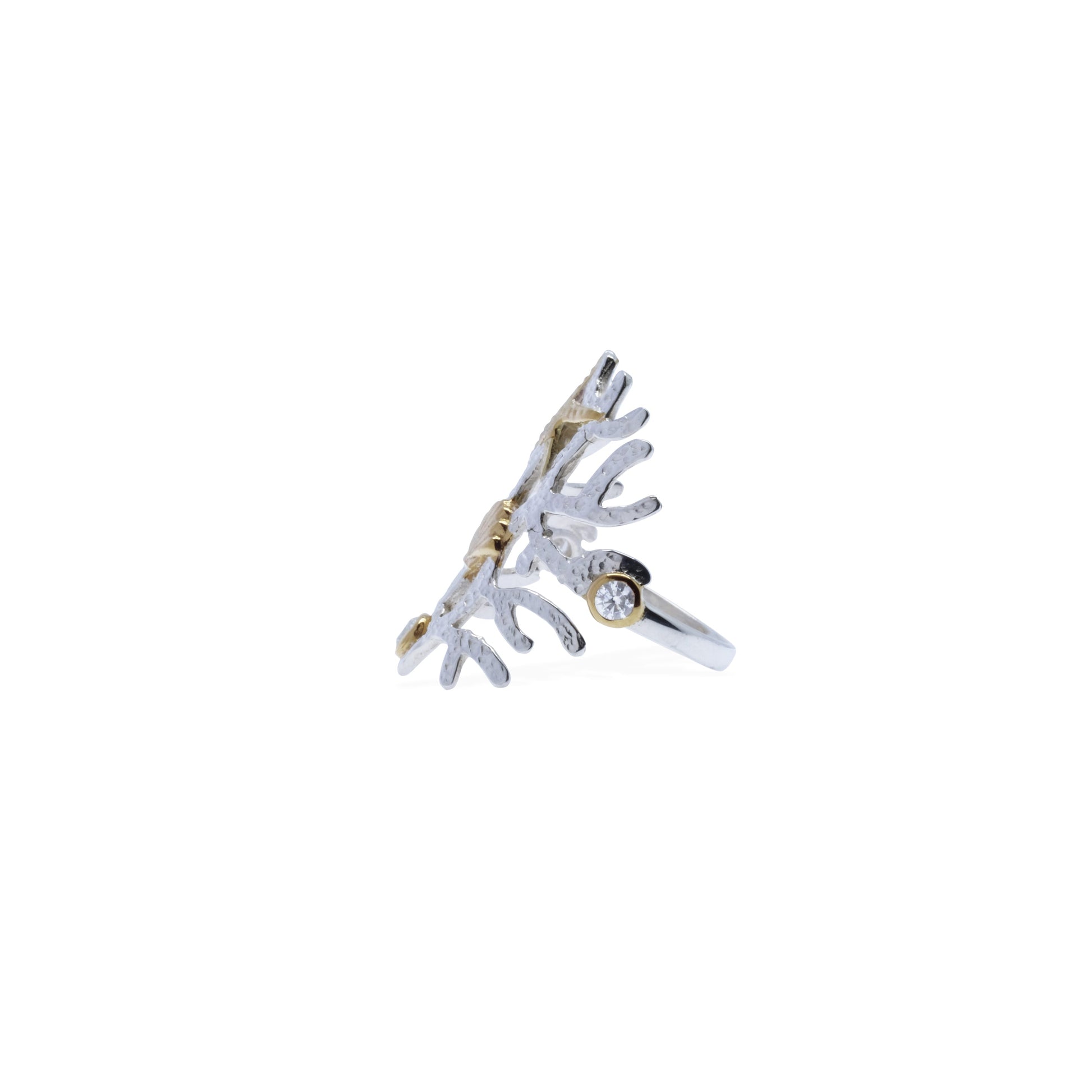 Sunaka Coral Reef ring side